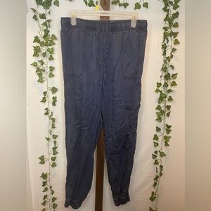 Medium C&C California navy cargo pants